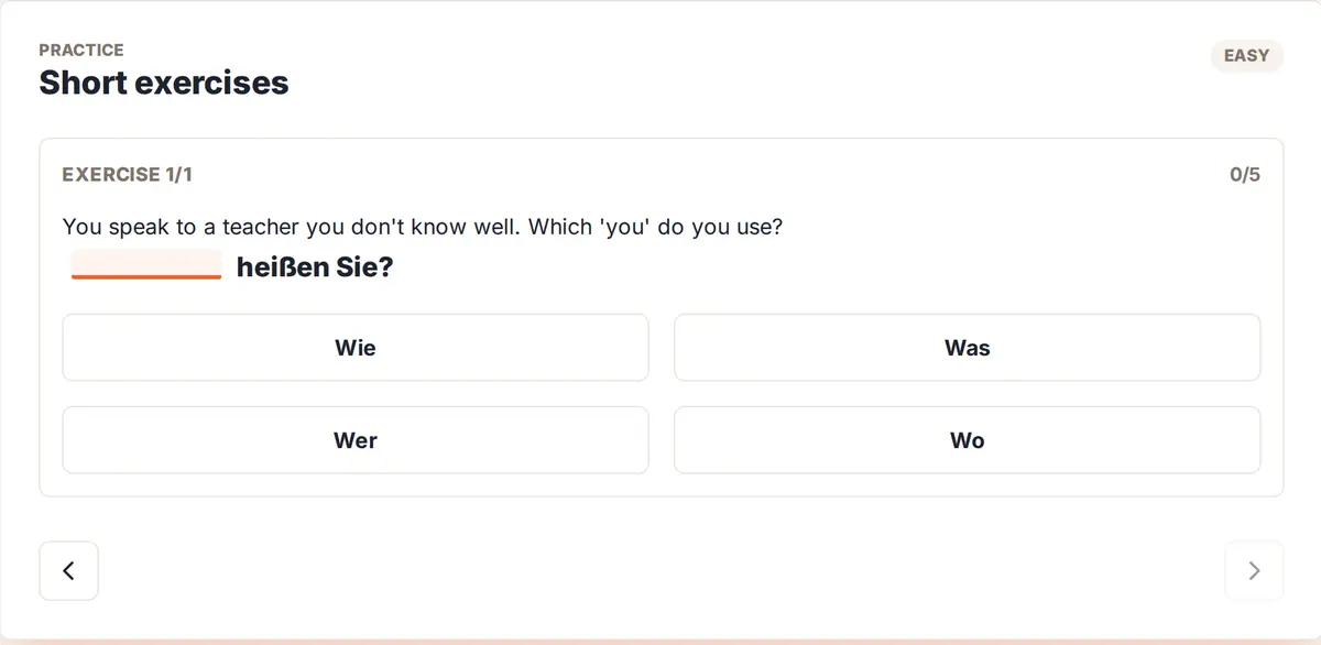 Grammar exercise — complete the sentence